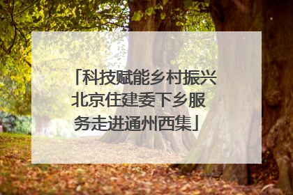 科技赋能乡村振兴 北京住建委下乡服务走进通州西集