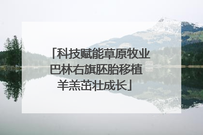 科技赋能草原牧业 巴林右旗胚胎移植羊羔茁壮成长