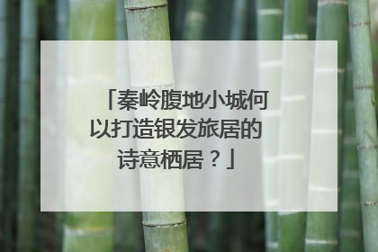 秦岭腹地小城何以打造银发旅居的诗意栖居？