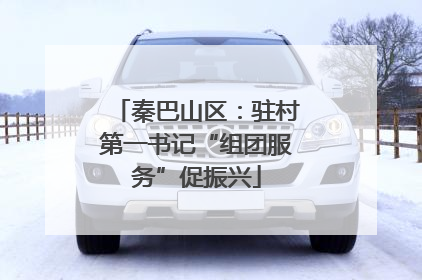 秦巴山区：驻村第一书记“组团服务”促振兴