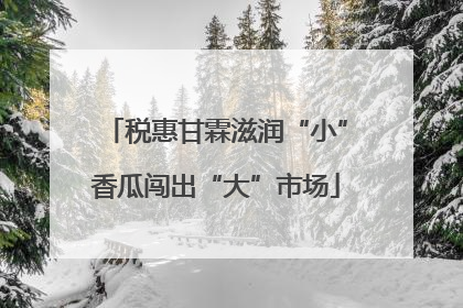 税惠甘霖滋润“小”香瓜闯出“大”市场