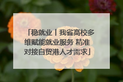 稳就业丨我省高校多维赋能就业服务 精准对接自贸港人才需求