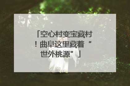 空心村变宝藏村！曲阜这里藏着“世外桃源”