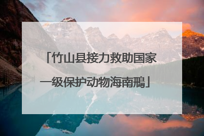 竹山县接力救助国家一级保护动物海南鳽