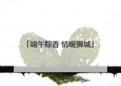 端午粽香 情暖狮城