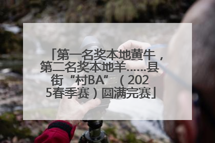 第一名奖本地黄牛，第二名奖本地羊……县街“村BA”（2025春季赛）圆满完赛