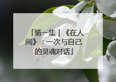 第一集｜《在人间》：一次与自己的灵魂对话