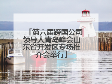 第六届跨国公司领导人青岛峰会山东省开发区专场推介会举行