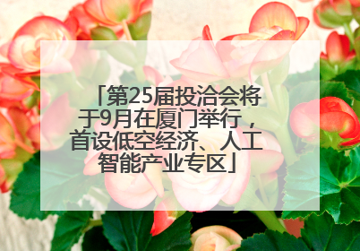 第25届投洽会将于9月在厦门举行，首设低空经济、人工智能产业专区