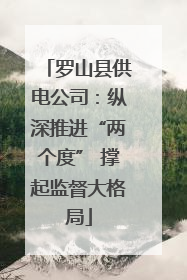 罗山县供电公司：纵深推进“两个度” 撑起监督大格局