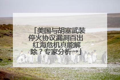 美国与胡塞武装停火协议漏洞百出 红海危机真能解除？专家分析→