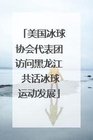 美国冰球协会代表团访问黑龙江 共话冰球运动发展