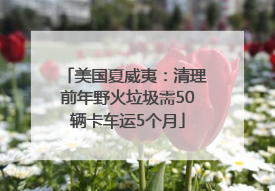 美国夏威夷：清理前年野火垃圾需50辆卡车运5个月
