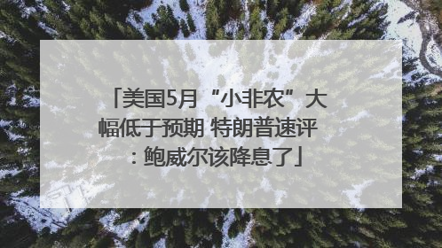 美国5月“小非农”大幅低于预期 特朗普速评：鲍威尔该降息了