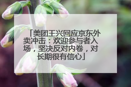 美团王兴回应京东外卖冲击：欢迎参与者入场，坚决反对内卷，对长期很有信心