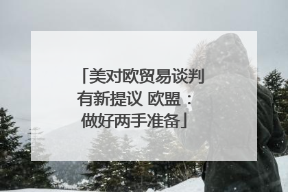 美对欧贸易谈判有新提议 欧盟：做好两手准备