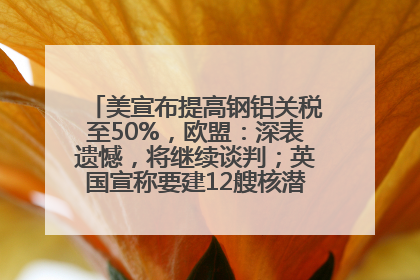 美宣布提高钢铝关税至50%，欧盟：深表遗憾，将继续谈判；英国宣称要建12艘核潜艇；马斯克最新发声：不想为美政府所做的一切承担责任丨早报