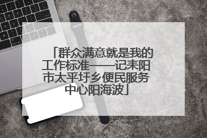群众满意就是我的工作标准——记耒阳市太平圩乡便民服务中心阳海波