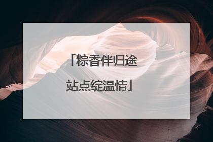 粽香伴归途 站点绽温情