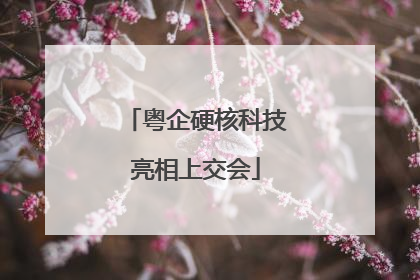 粤企硬核科技亮相上交会