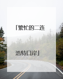 繁忙的二连浩特口岸