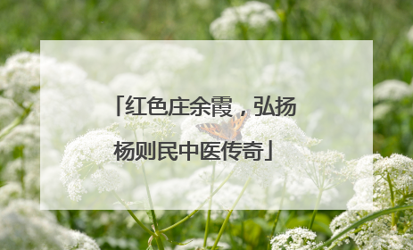 红色庄余霞，弘扬杨则民中医传奇