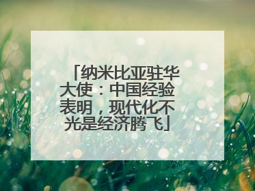 纳米比亚驻华大使：中国经验表明，现代化不光是经济腾飞