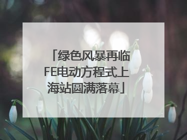 绿色风暴再临 FE电动方程式上海站圆满落幕