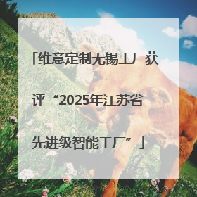维意定制无锡工厂获评“2025年江苏省先进级智能工厂”
