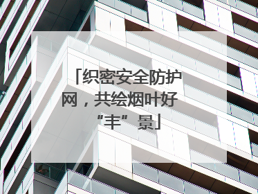 织密安全防护网，共绘烟叶好“丰”景