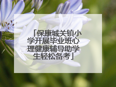 保康城关镇小学开展毕业班心理健康辅导助学生轻松备考