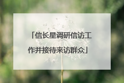 信长星调研信访工作并接待来访群众