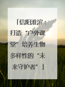 信阳淮滨：打造“户外课堂”培养生物多样性的“未来守护者”