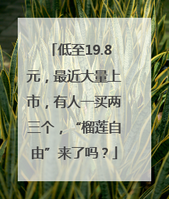 低至19.8元，最近大量上市，有人一买两三个，“榴莲自由”来了吗？