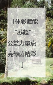 体彩赋能“苏超” 公益力量点亮绿茵精彩