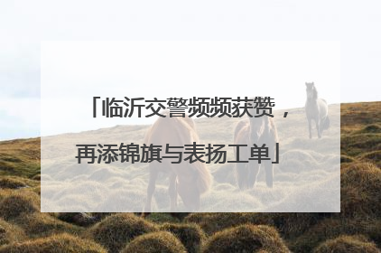 临沂交警频频获赞，再添锦旗与表扬工单