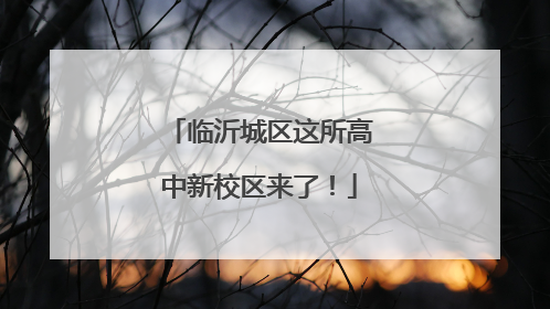 临沂城区这所高中新校区来了！
