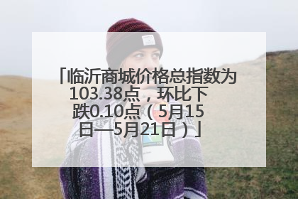 临沂商城价格总指数为103.38点，环比下跌0.10点（5月15日—5月21日）