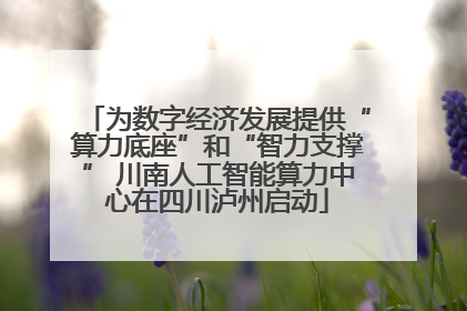 为数字经济发展提供“算力底座”和“智力支撑” 川南人工智能算力中心在四川泸州启动