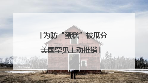 为防“蛋糕”被瓜分 美国罕见主动推销