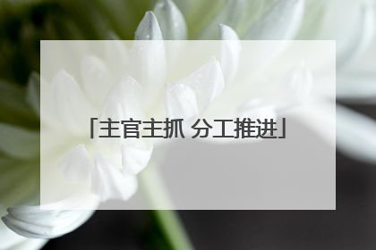 主官主抓 分工推进