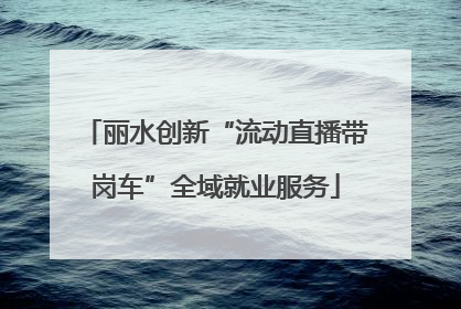 丽水创新“流动直播带岗车”全域就业服务