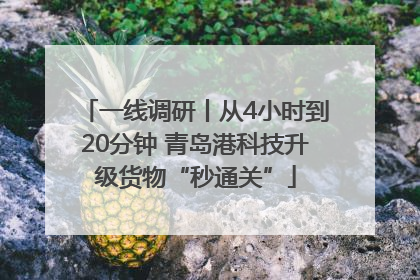 一线调研丨从4小时到20分钟 青岛港科技升级货物“秒通关”