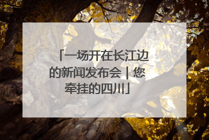 一场开在长江边的新闻发布会｜您牵挂的四川