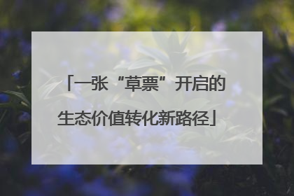 一张“草票”开启的生态价值转化新路径
