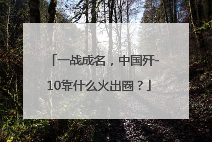 一战成名，中国歼-10靠什么火出圈？