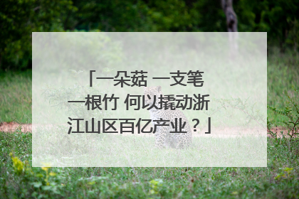 一朵菇 一支笔 一根竹 何以撬动浙江山区百亿产业？