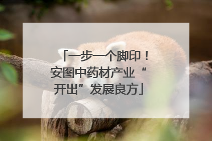 一步一个脚印！安图中药材产业“开出”发展良方