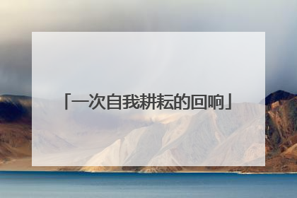 一次自我耕耘的回响