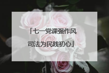 七一党课强作风 司法为民践初心